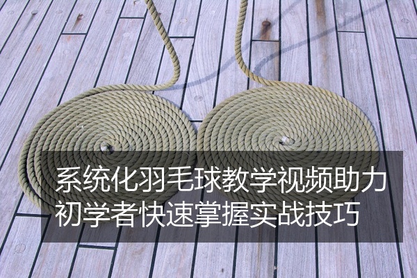 系统化羽毛球教学视频助力初学者快速掌握实战技巧