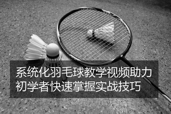 系统化羽毛球教学视频助力初学者快速掌握实战技巧